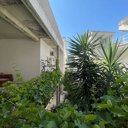 Mango Guest house